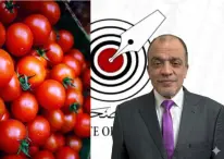 الكاتب الصحفي صالح رجب