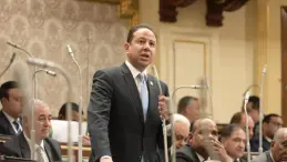 النائب حسن عمار