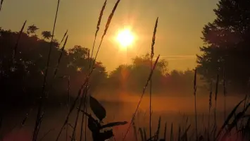 ماذا لو اختفت الشمس ليوم واحد؟