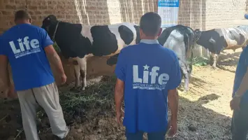 دعم (لايف للإغاثة) للفقراء الأكثر احتياجا واللاجئين (تقرير)