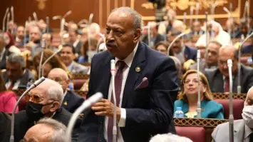 النائب هاني العسال: بيان  الـ21 دولة أكد على احترام سيادة الدول