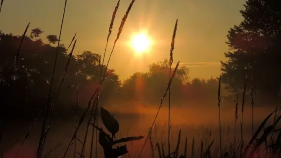 ماذا لو اختفت الشمس ليوم واحد؟