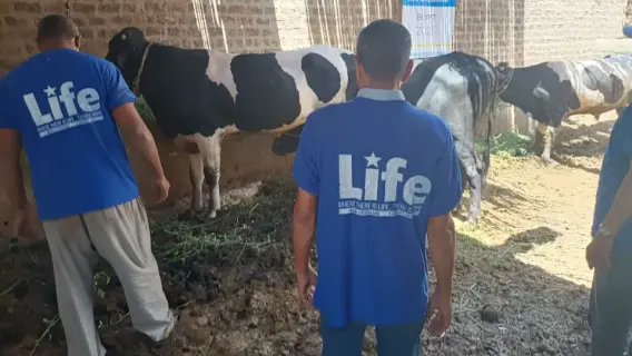 لايف للإغاثة: فريق العمل في السودان يواجه التحديات لدعم النازحين!