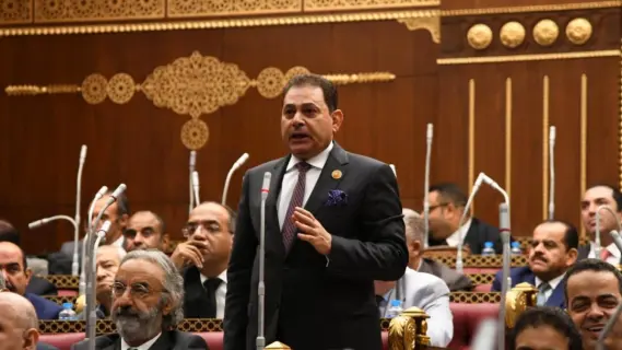 فرج فتحي: مصر لديها جهاز أمني محترف قادر على حماية أمن البلاد