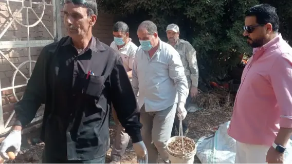 في استجابة سريعة.. لجنة ميدانية لمكافحة انتشار الثعابين في شبرا بخوم (صور)