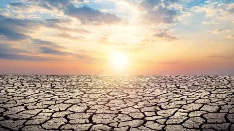 مصر و"الفاو" تتعاونان لمواجهة التغيرات المناخية