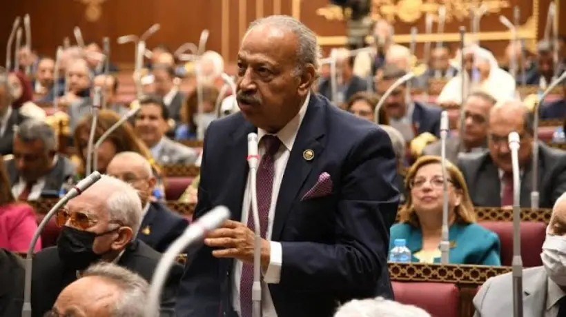 النائب هاني العسال: بيان  الـ21 دولة أكد على احترام سيادة الدول