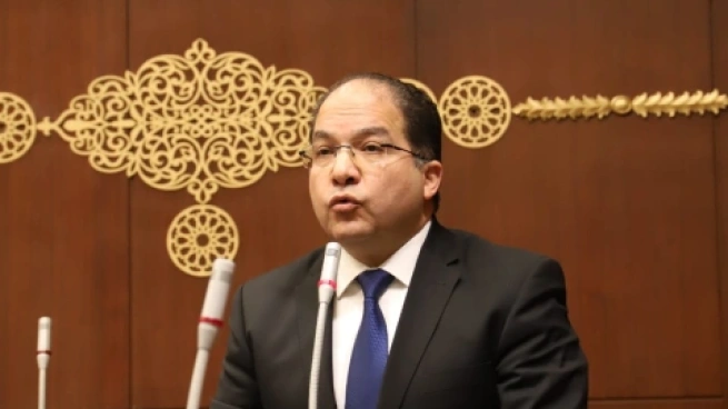 النائب عادل اللمعي